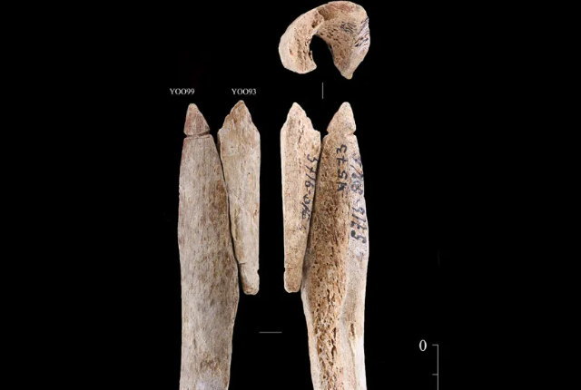 石器時代の副葬品、謎の人骨ペンダントみつかる