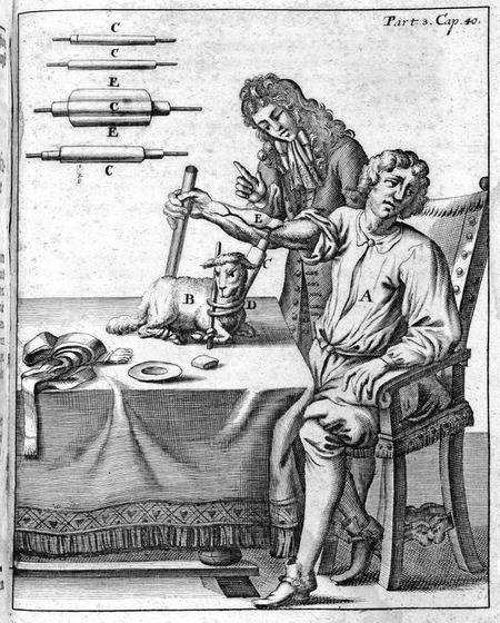 image246