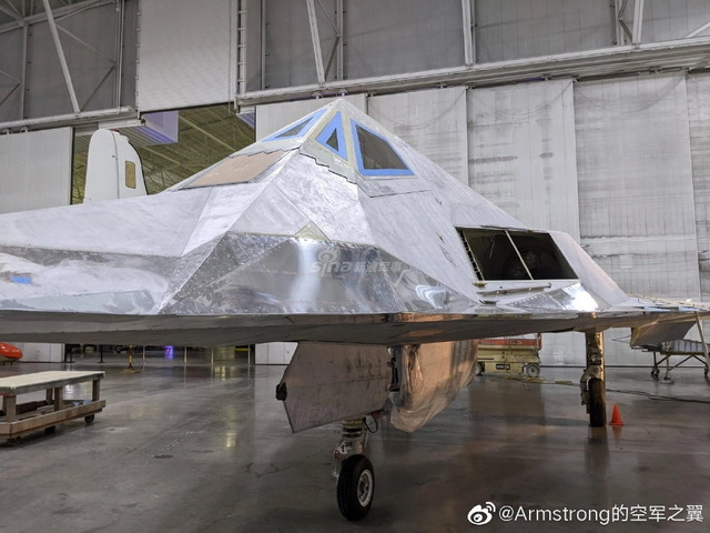 F-117 無塗装_4
