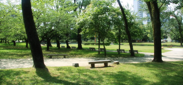 公園