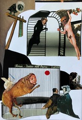 8_蝗壹o繧後・驕頑葦 縲廱eu Captif縲