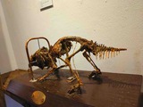 IMG_7452