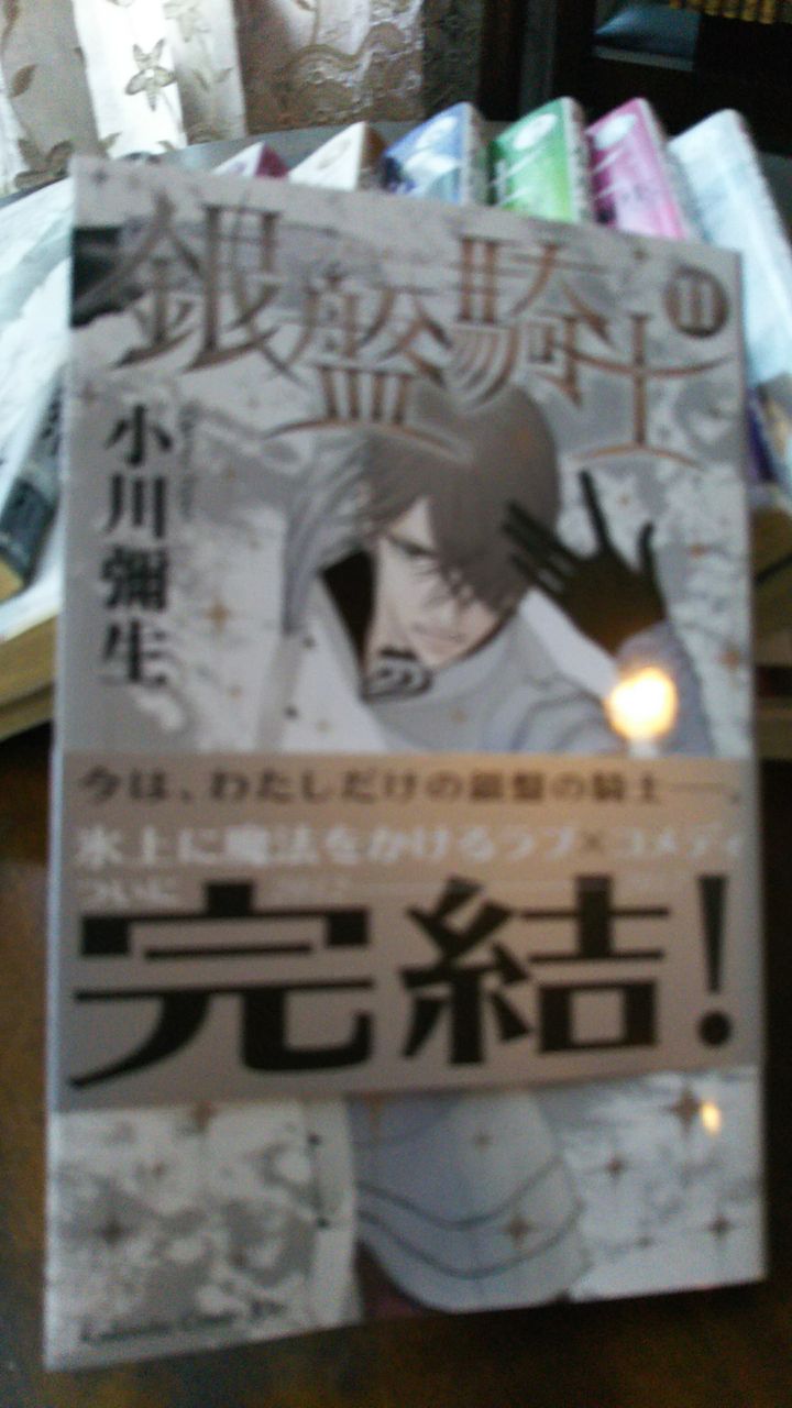銀盤騎士 完結 Information Of Events At Zaroff