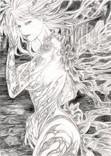 砂漠の女王・羽