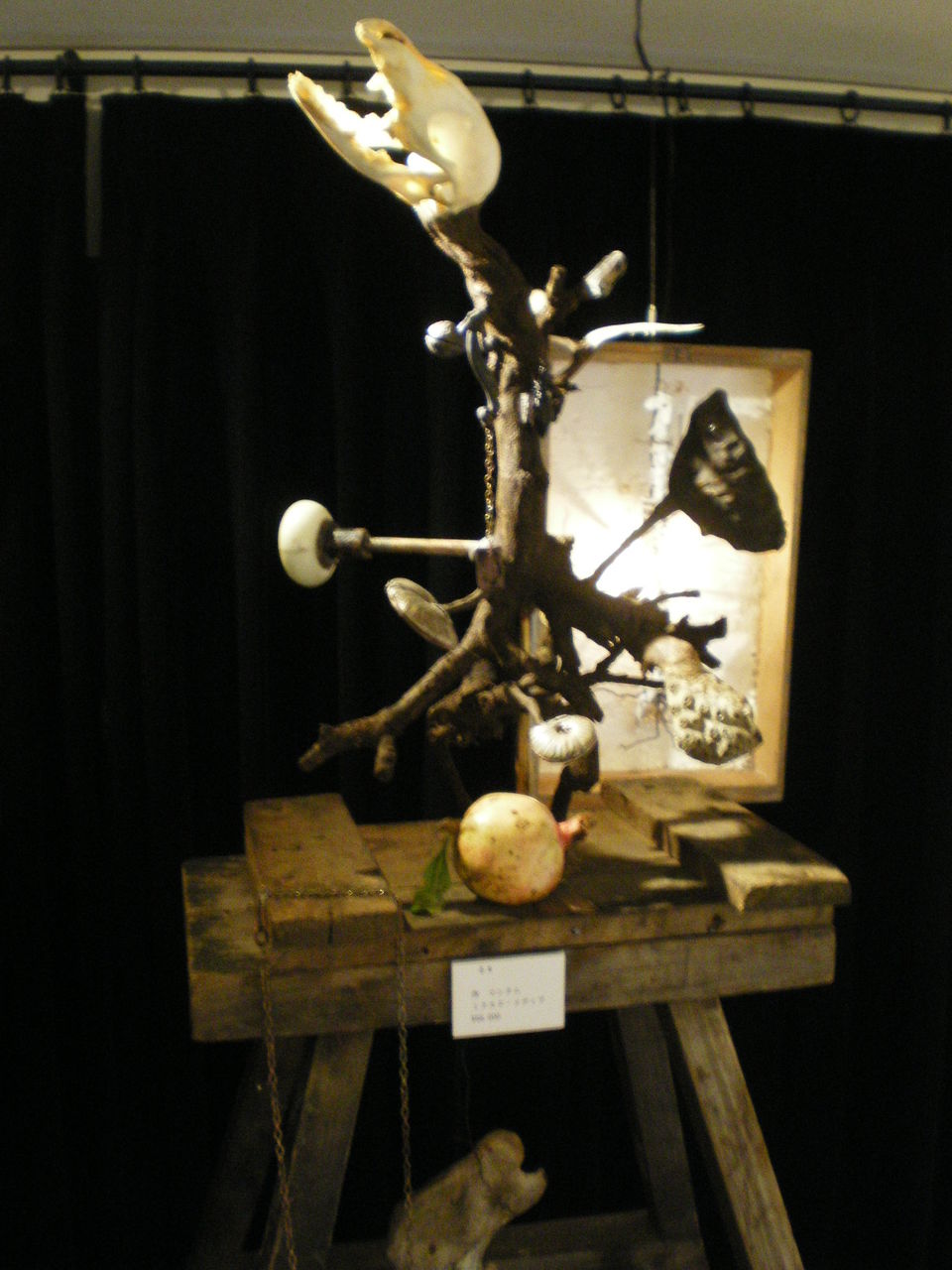 Information of events at Zaroff zaroff