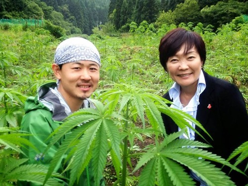 安倍大麻