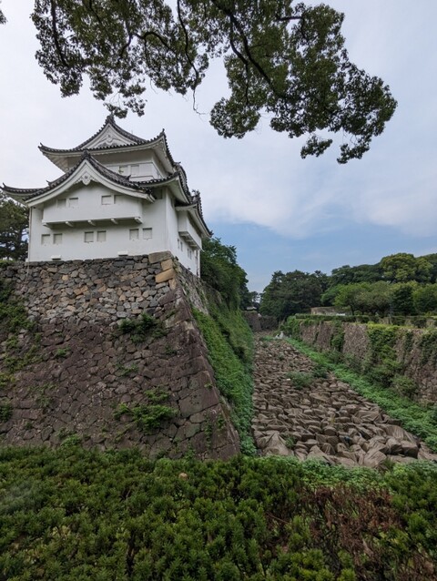 PXL_20230618_055057825
