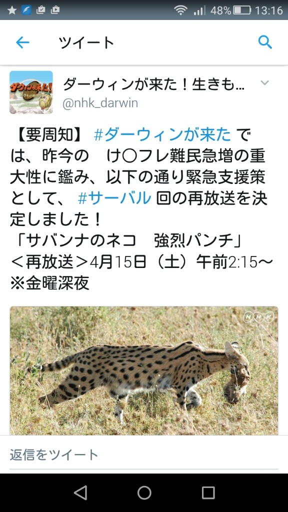痛いテレビ ダーウィンが来た サーバル回を再放送 痛いテレビ ダーウィンが来た サーバル回を再放送