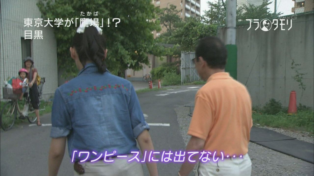 痛いテレビ タモリ嘘を付く
