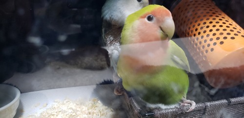 20190324_195257