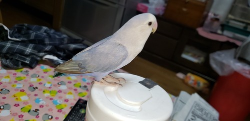 20190629_211651