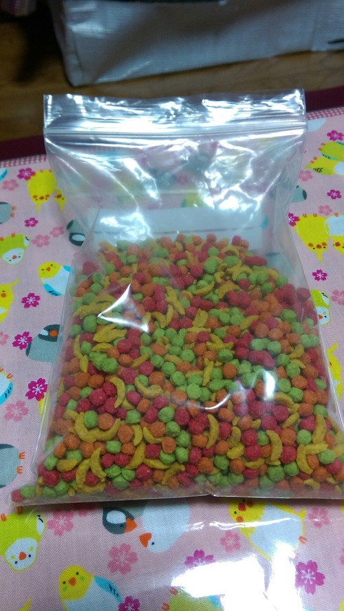 IMAG3959