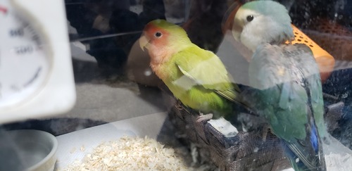20190324_193512