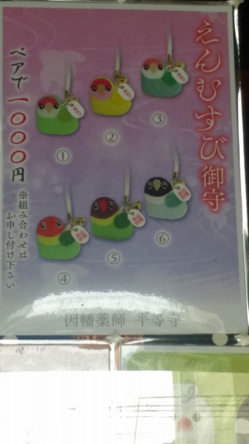 IMAG3076