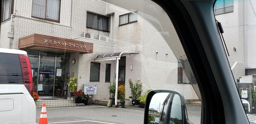 69237801_3586956927997242_8922675178824007680_o[1]