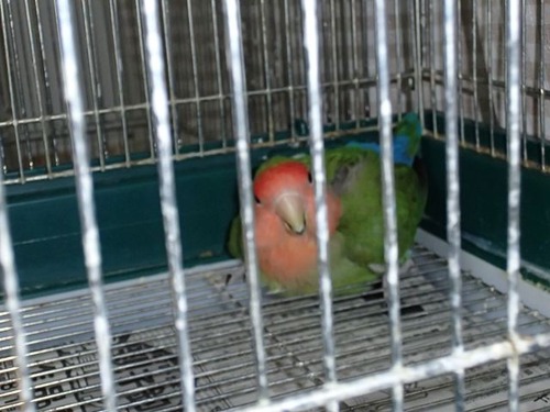 P6271516_R