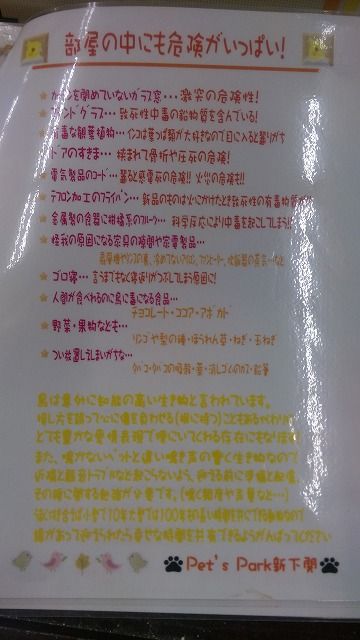 IMAG2982