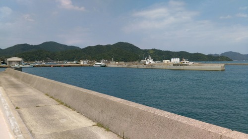 IMAG5187