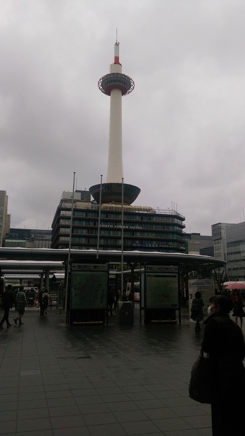 IMAG3073
