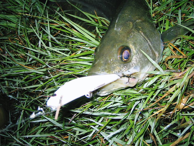 35df0330.jpg