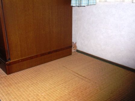 P8290139