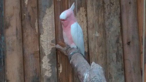 IMAG3174