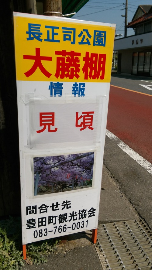 IMAG4185