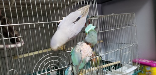 20190629_211612