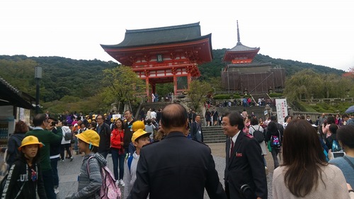 IMAG3088