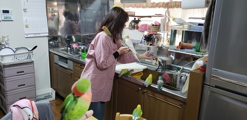 49211237_1608085032627460_8418584041342631936_o[1]