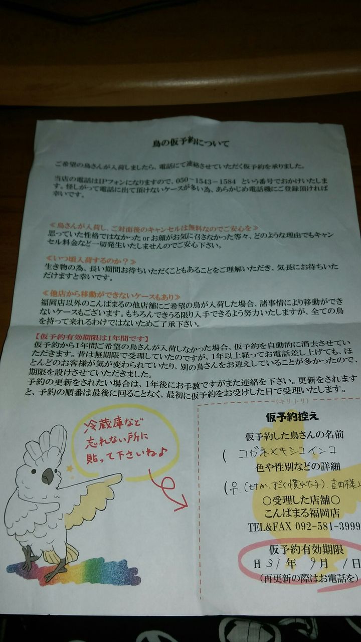 吉田さん を含む記事 疑似餌工房 座敷童子 別館