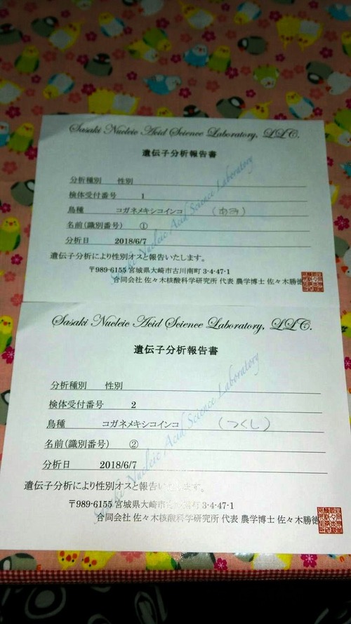 3d29a487[1]