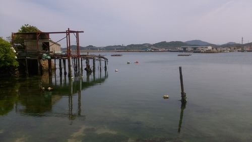 IMAG2682