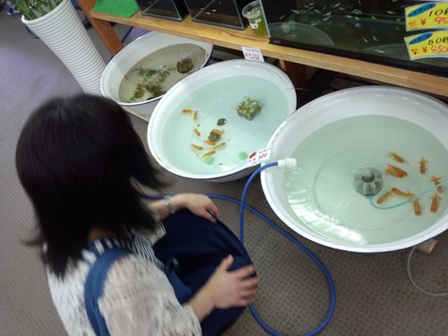 IMG_20140830_145737_R