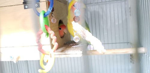 68942839_3593887597304175_7800845517998522368_o[1]