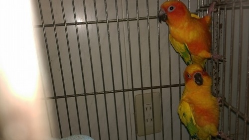 IMAG2241