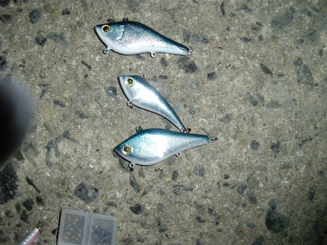 907f7d06.jpg
