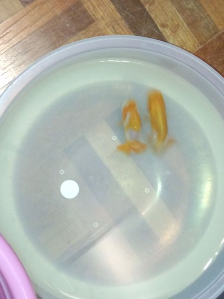 IMG_20140830_224405_R