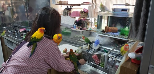 48919676_1608085075960789_4887944886206070784_o[1]