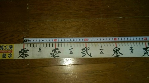 IMAG4586_1
