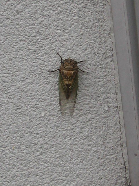 9e6597d5.jpg