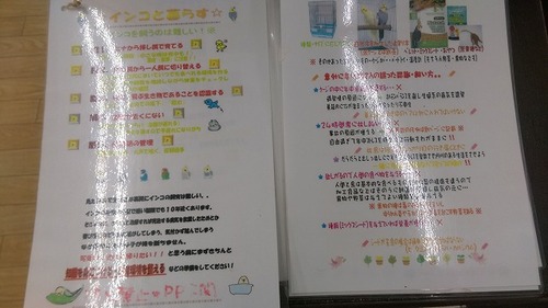 IMAG2981