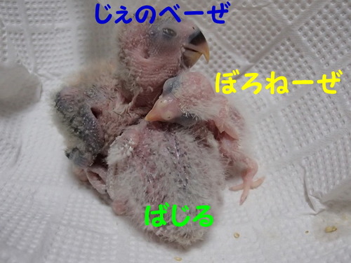 ああ