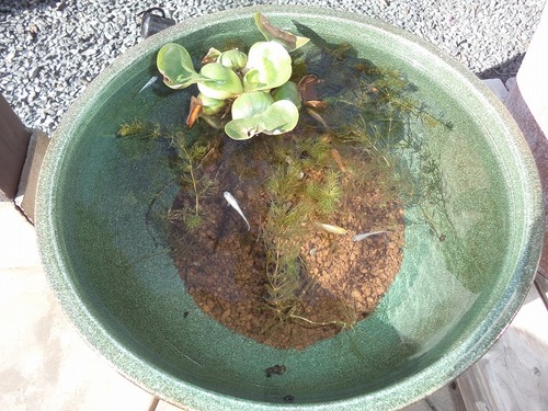 20150426_04