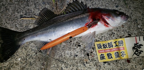 20190524_230255
