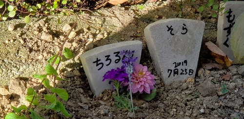 20190916_165523