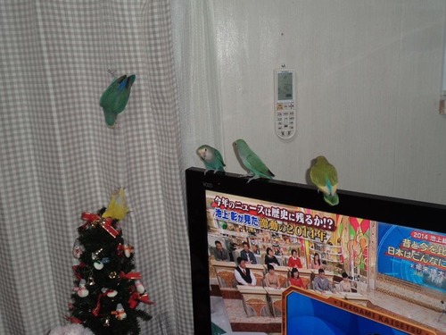 20141229_14_R