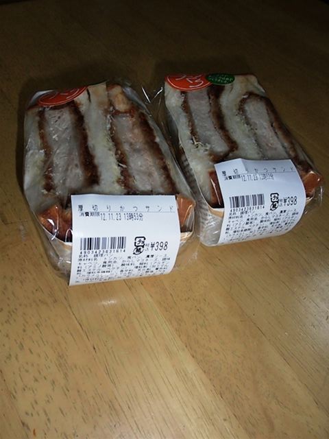 PB230511_R
