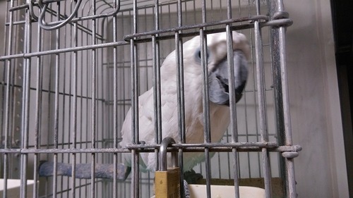 IMAG2244