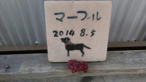 IMAG5188[1]